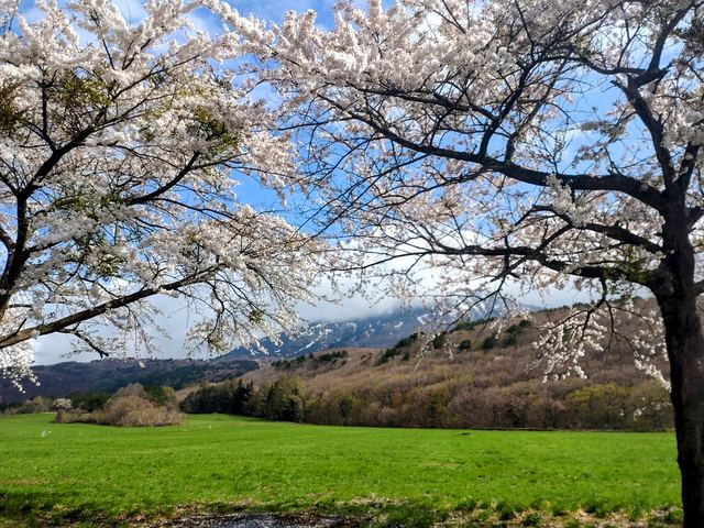 四季の風景・春の写真