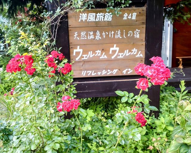 庭に咲く花の写真