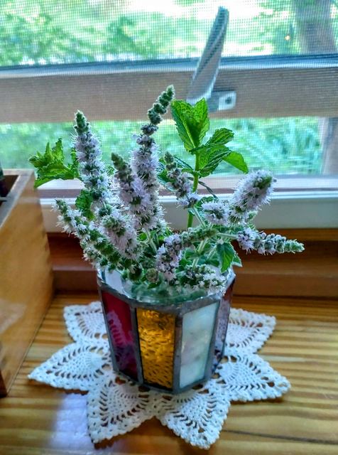 館内の花としつらえの写真