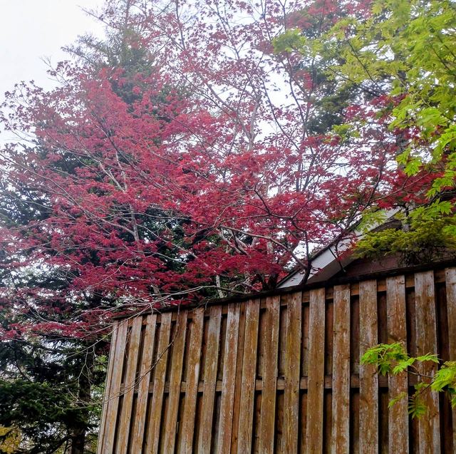 四季の風景・秋の写真