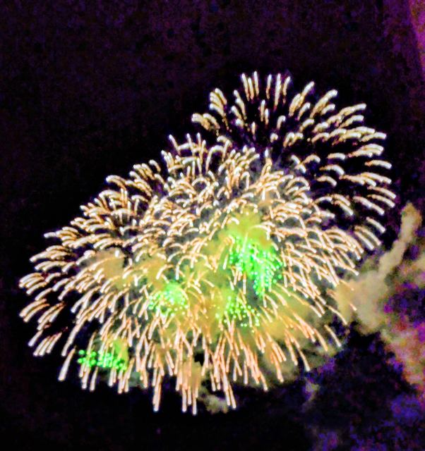 夏の花火の写真