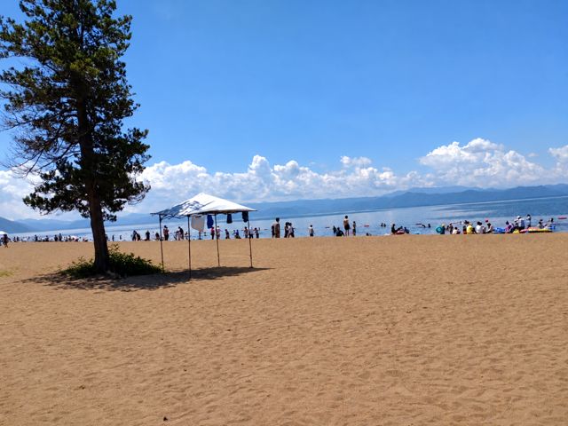 夏の猪苗代湖の湖水浴場。松の木と白い砂浜