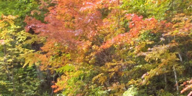 四季の風景・秋の写真